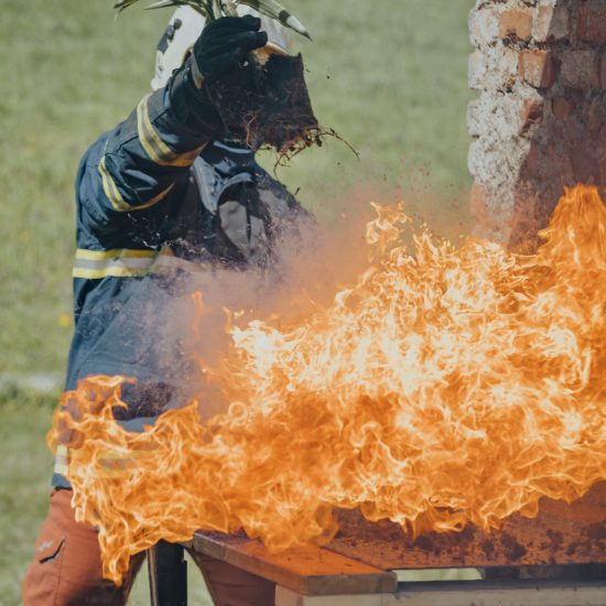 haseni horiciho oleje hl&iacute;nou z pokojov&eacute; květiny